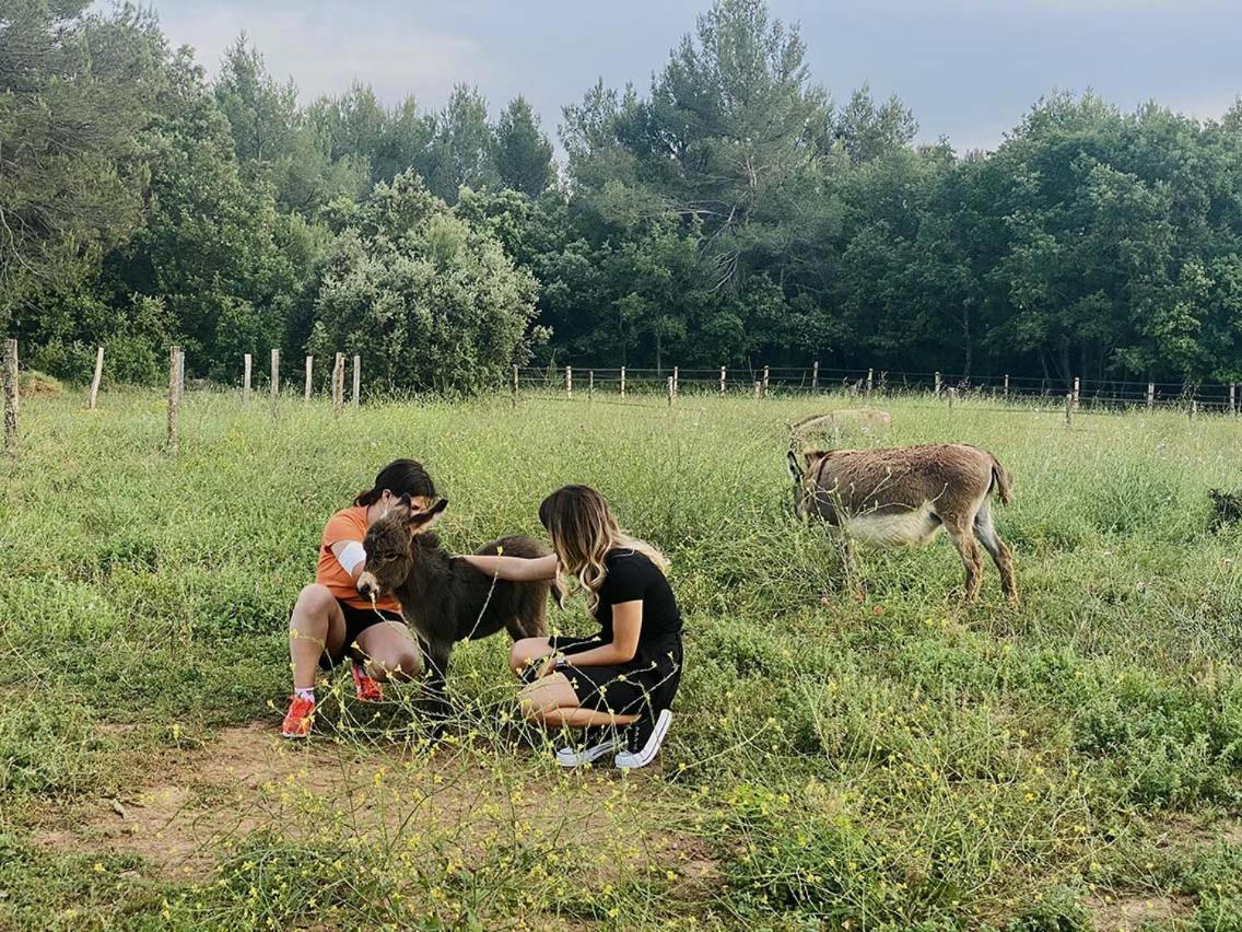 Vila Centre Mediation Equine La Daouste Jouques Exteriér fotografie